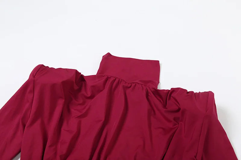 High Neck Pleated Waist Slim Bodycon Long Sleeve Dress